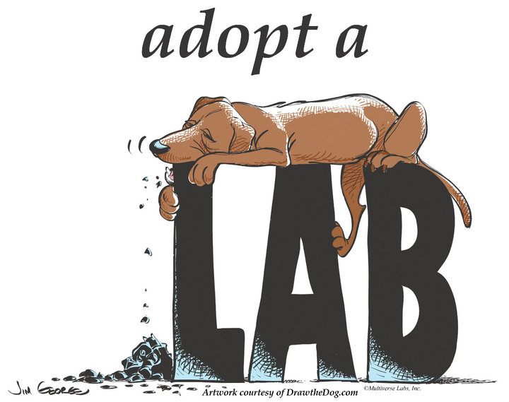 Adopt a Lab