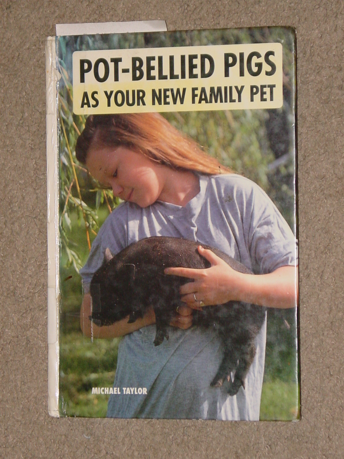 41-8743. Pot-Bellied Pigs As Your New Family Pet.