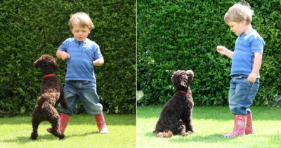 Child training a dog: "Instead of your dog jumping on you, what do you want it to do instead?"